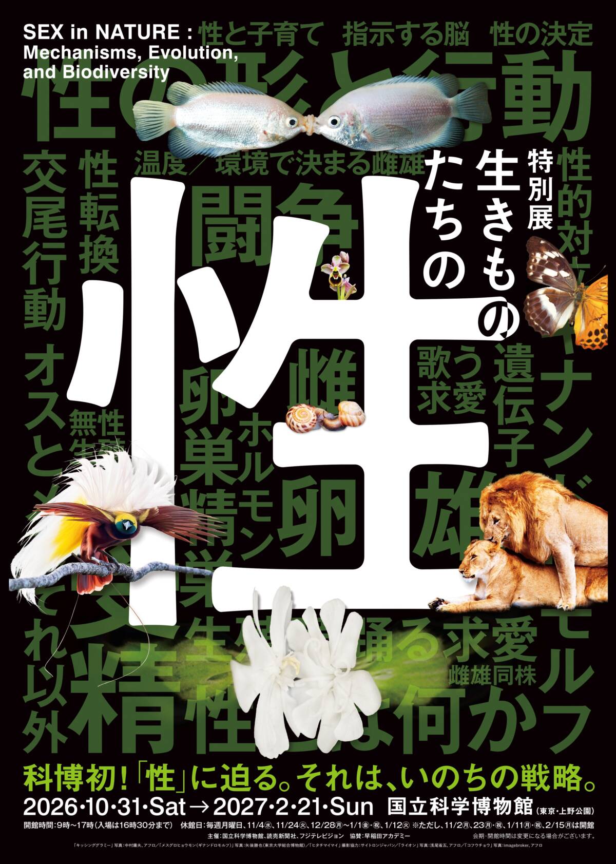 展覧会公式サイト